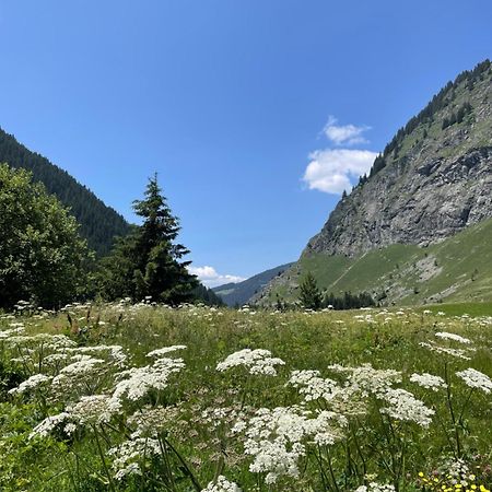 T2 Vue Sur Le Parc De La Vanoise La Plagne Eksteriør bilde
