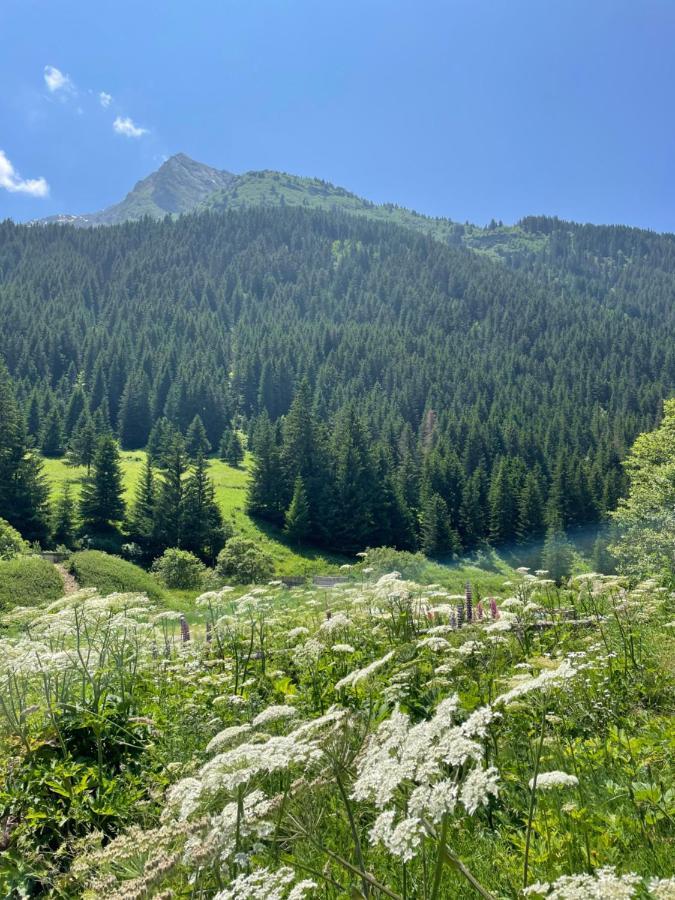 T2 Vue Sur Le Parc De La Vanoise La Plagne Eksteriør bilde